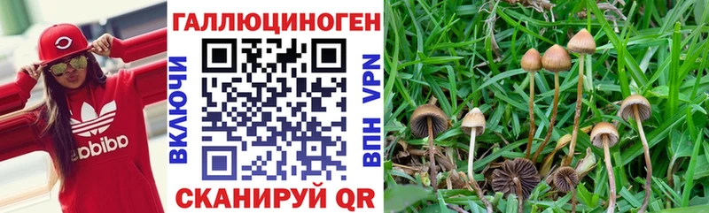 что такое   Фрязино  darknet как зайти  Галлюциногенные грибы ЛСД 